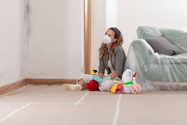 Reliable Commercial Mold Remediation contractor in Elkins Park, PA by WQB Mold Removal